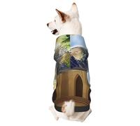 Sweat à capuche pour chien pour l'automne et l'hiver, vêtements confortables pour les activités de plein air, la terre dans l'église mystérieuse imprimé tie-dye