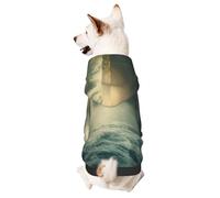 Sweat à capuche pour chien pour l'automne et l'hiver, vêtements confortables pour les activités de plein air, cascades et brouillard dans un monde fantastique, imprimé tie-dye
