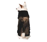 Sweat à capuche pour chien « The anger of a lion » en polyester doux et respirant pour petits chiens, garçons et filles