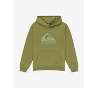Sweat à capuche Quiksilver Comp Logo vert pistache pour enfant - 8