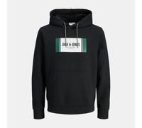 Sweat À Capuche Regular Hayato Imprimé Encart Logo Homme Jack & Jones