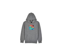 Sweat a capuche scans pullover enfant gris
