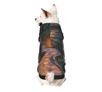 Sweat à capuche Sunset Mountain Forest en polyester doux et respirant pour petits chiens, garçons et filles