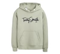 Sweat à capuche - TEDDY SMITH - EVRY ICEBERG GREEN - vert clair - 92% coton 8% élasthanne - poche kangourou 10 ans