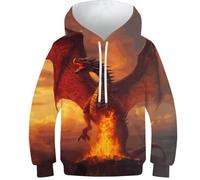 Sweat à capuche Wizard And Dragon pour enfants garçons filles sweat à capuche automne haut décontracté vêtements fille vêtements manches longues pull amusant cool, Dragon Flying, 11-13 Years
