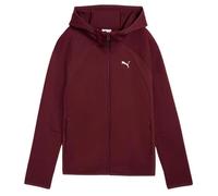 Sweat À Capuche Zippé Intégral Puma Evostripe Dk M