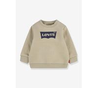 Sweat Batwing Crew beige 36M(97CM)