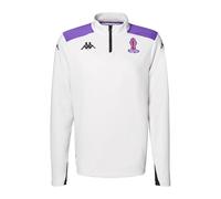 Sweat col zippé Ablas Pro 5 Rugby World Cup Gris homme Gris S