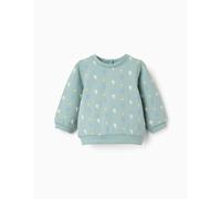 Sweat En Coton À Motif De Montgolfière Vert Clair 6/9M(67/71)