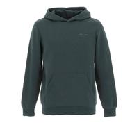 Sweat Garçon À Capuche Snark Hoody Jr Vert 10A
