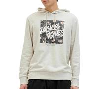 Sweat Garçon À Capuches Hawaii Gris 16A
