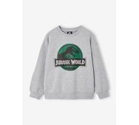 Sweat garçon Jurassic World gris chiné 8A