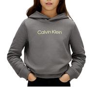 Sweat Gris Fille Calvin Klein Jeans Terr 14 ans