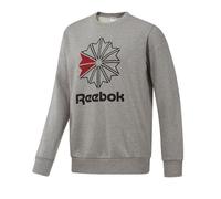 Sweat Homme Reebok AC FT BIG STAR S