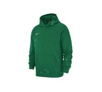 Sweat - NIKE - JR Park 20 Fleece Vert - Manches longues - Col capuche - Mixte L