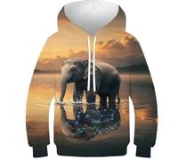 Sweat-Shirt 3D pour garçon, imprimé éléphant dans l'eau avec Reflets de Constellations, Pull décontracté à Capuche et Manches Longues, vêtements d'hiver avec Poche, 6-7 Ans