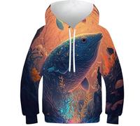 Sweat-Shirt 3D pour garçon, imprimé Spirits of Nature7, Pull décontracté à Capuche et Manches Longues, vêtements d'hiver avec Poche, 10-12 Ans
