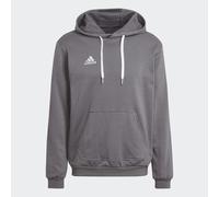 Sweat-shirt à capuche Entrada 22 Sweat Team Grey Four S