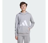 Sweat-shirt à capuche Essentials Enfants Medium Grey Heather / White 11-12A