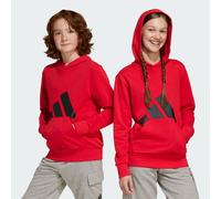Adidas Sweat à capuche enfant Essentials Big Logo Rouge 15/16 ans Unisexe