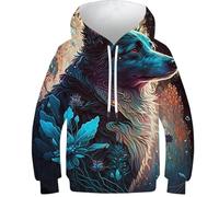 Sweat-Shirt à Capuche pour Enfants, Motif Border Collie Imaginaire, pour garçons et Filles, Haut décontracté, vêtements d'automne, Manches Longues, Amusant, Cool, 11-13 Ans