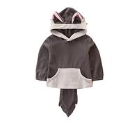 Sweat-shirt à manches longues pour hommes et jeunes filles - Motif loup - Vêtements pour enfants - Sweat à capuche cool pour garçons, gris, 3-4 ans