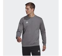 Adidas Entrada 22 Stadium Sw Sweatshirt Rose M / Regular Homme