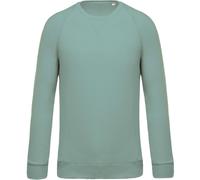 Sweat Shirt Coton Bio - Homme - K480 - Vert Amande