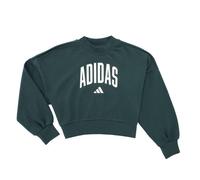 Sweat-shirt enfant filles adidas Seasonals Essentials Collegiate Typography Crewneck Sweatshirt K Vert 11 / 12 ans