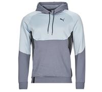 Sweat-shirt hommes Puma INLINE Gris US XS