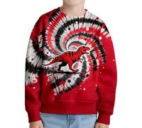Sweat-Shirt Manches Longues et col Rond pour Enfants Pull-Over Garçon Sweatshirts Enfant Hiver Pull d'hiver Sport Tops Confortable la Mode Sweat Shirt 1-8 Ans