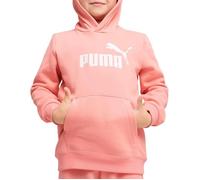 Sweat-shirt Puma ESS No. 1 Logo Fleece Enfants 116