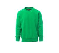 Sweat-shirts brossé 280gr PAYPER ORLANDO VERT GELÉE - 001083030807003XL Vert G