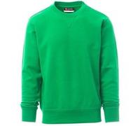 Sweat-shirts brossé 280gr PAYPER ORLANDO VERT GELÉE - 001083030807003XL Vert G