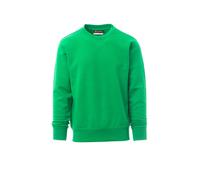 Sweat-shirts ORLANDO - PAYPER - 001083P0761
