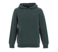 Sweat garçon à capuche snark hoody jr vert 8A