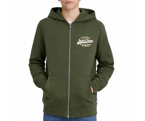 Sweat Zippe À Capuche Garçon Jjelogo Vert 8A