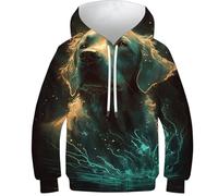 Sweats 3D pour Garçon, Fantasy_Girl_, Imprimé, Pull Décontracté à Capuche à Manches Longues, Vêtements d'hiver avec Poche, Labrador Retriever Dog, 9-11 ans