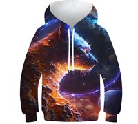 Sweats à capuche 3D pour garçons avec motif raton laveur Pop Art imprimé animal décontracté pull à capuche manches longues vêtements d'hiver avec poche, Dieu chat de l'univers, 8-10 Years