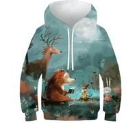 Sweats à Capuche 3D pour garçons et Filles, Motifs « Histoires de feu de Camp » - Sweats à Capuche à Manches Longues et Amusants, 10-12 Ans