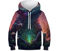 Sweats à capuche 3D pour garçons Fantasy_Girl_ Imprimé Pull décontracté à capuche Manches longues Vêtements d'hiver avec poche, Spirits of Nature4, 6-7 Years
