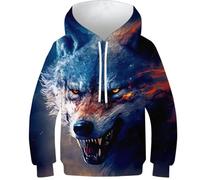 Sweats à capuche 3D pour garçons Fantasy_Girl_ Imprimé Pull décontracté à capuche Manches longues Vêtements d'hiver avec poche, Wolf 1, 11-13 Years