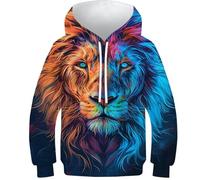 Sweats à capuche 3D pour garçons, motif astronaute, crocodile, pull décontracté à capuche à manches longues, vêtements d'hiver avec poche, Arr Lion, 10-12 Years