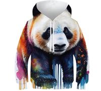 Sweats à capuche 3D pour garçons, motif éléphant animal 1, pull décontracté à capuche à manches longues, vêtements d'hiver avec poche, Panda Bear Pop Art Animal, 11-13 Years