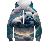 Sweats à capuche 3D pour garçons, motif éléphant animal 1, pull décontracté à capuche à manches longues, vêtements d'hiver avec poche, Majestic Panda Bear, 7-9 Years