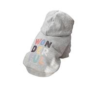 Sweats à capuche pour chiens, vêtements pour animaux de compagnie, vestes de printemps, manteau merveilleux avec imprimé lettres, vêtements mignons pour chiots, Shih Tzu, costumes de chat de 5 tailles