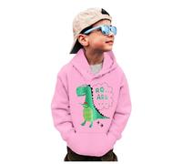 Sweats à col rond pour garçon - Motif dinosaure - Manches longues - Pull - Tops - T-shirts, Rose, 5-6 ans