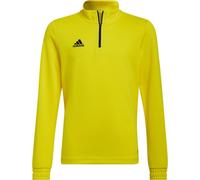 Sweats Adidas Entrada 22 Training B20520