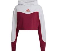 Sweats Adidas Hanorac HD6769