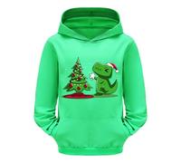 Sweats Garçon Ado - À Capuche Chaud À Manches Longues pour Enfant en Bas Âge Et Imprimé Dinosaure Dessin Animé Noël (Green 10-11 Years)